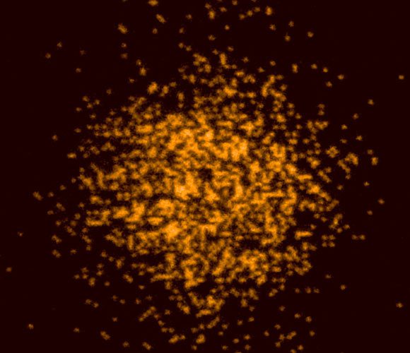 Les atomes de potassium-40 sont refroidis pendant l'imagerie par la lumière laser, permettant à des milliers de photons d'être collectés par le nouveau microscope. Crédit image : Lawrence Cheuk / MIT.