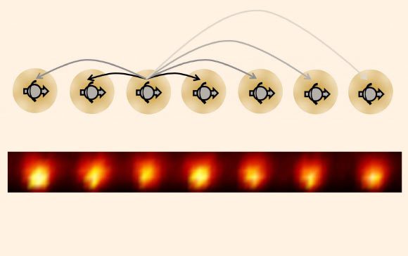 En suivant un plan créé par N.Y. Yao et al, les physiciens de l'Université du Maryland ont fabriqué le premier cristal de temps en utilisant une chaîne unidimensionnelle d'ions d'ytterbium ; chaque ion se comporte comme un spin électronique et présente des interactions à longue portée indiquées par les flèches. Crédit image : J. Zhang et al.