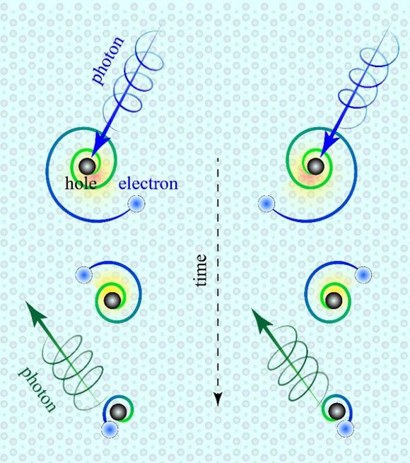 Les deux types d'excitons de surface chiraux se trouvent à droite et à gauche de l'image. Ils sont générés par la lumière à droite et à gauche (photons en bleu). Les excitons consistent en un électron (bleu clair) orbitant autour d'un 'trou' (noir) dans la même orientation que la lumière. L'électron et le trou sont annihilés en moins d'un trillionième de seconde, émettant de la lumière (photons en vert) qui pourrait être exploitée pour l'éclairage, les cellules solaires, les lasers et les écrans électroniques. Crédit photo : Hsiang-Hsi (Sean) Kung / Rutgers University-New Brunswick.