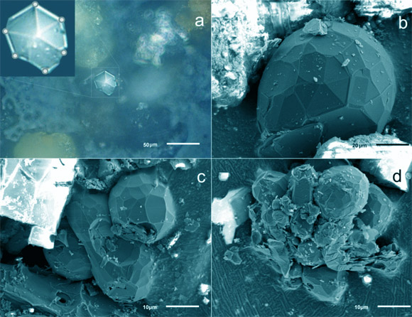 Images optiques (a) et SEM (b-d) des cristaux de carbone dans la poussière météoritique de Tcheliabinsk. Crédit image : Taskaev et al., doi : 10.1140/epjp/s13360-022-02768-7.