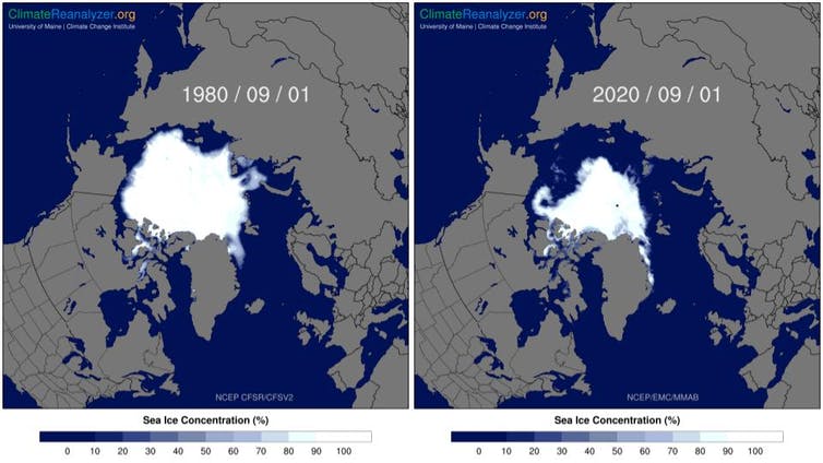 Cartes côte à côte comparant la glace de mer de 1980 et 2020. La glace de la carte de 2020 semble être environ deux fois plus petite que celle de 1980.