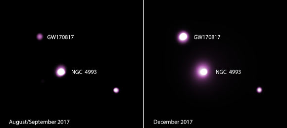 Les données Chandra de GW170817 montrent des niveaux de rayons X qui sont un facteur de quelques fois à plusieurs centaines de fois inférieurs à ceux attendus pour une étoile à neutrons en rotation rapide, fusionnée et la bulle de particules de haute énergie associée, ce qui implique qu'un trou noir s'est probablement formé à la place. Crédit image : NASA / CXC / Université de la Trinité / D. Pooley et al.