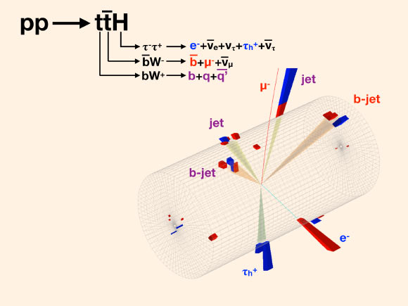 Un événement candidat pour la production d'une paire de quark supérieur et d'antiquark supérieur en conjonction avec un boson de Higgs dans CMS ; le Higgs se désintègre en un lepton tau+, qui se désintègre à son tour en hadrons et un tau- , qui se désintègre en un électron ; les symboles des produits de désintégration sont en bleu ; le quark supérieur se désintègre en trois jets (gerbes de particules plus légères) dont les noms sont donnés en violet ; l'un d'eux est initié par un quark b ; l'antiquark supérieur se désintègre en un muon et un jet b, dont les noms apparaissent en rouge. Crédit image : Collaboration CMS.