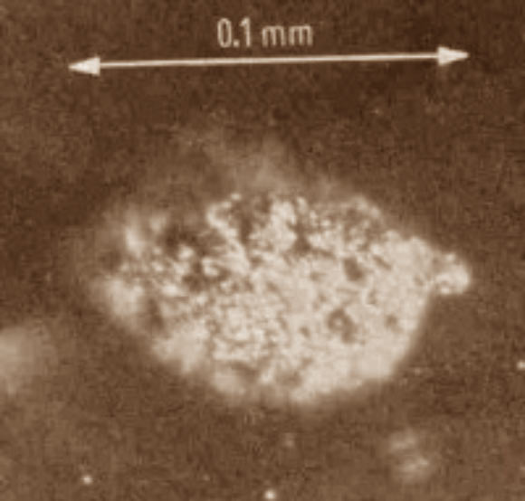 Photomicrographie en fausses couleurs du premier échantillon massif isolé (1,7 microgrammes) de berkélium. Crédit image : Oak Ridge National Laboratory.
