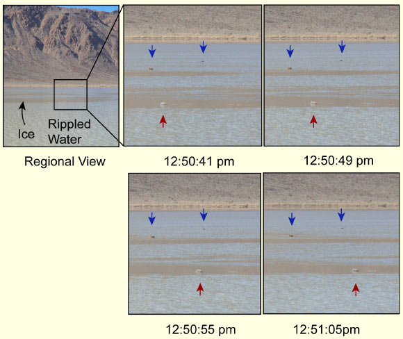Images time lapse d'un rocher en mouvement acquises le 9 janvier 2014 : l'image de gauche montre la vue grand angle ; le cadre noir intérieur indique la vue dans les autres images ; dans les images en gros plan, les flèches bleues montrent les rochers stationnaires et la flèche rouge - un rocher en mouvement (se déplaçant de gauche à droite) ; le mouvement total a duré environ 18 secondes ; les zones sombres et plates sur l'étang sont des panneaux de glace d'environ 3 mm d'épaisseur entourés d'eau ondulée de plusieurs centimètres de profondeur ; l'épaisseur de la glace est estimée à partir des panneaux de glace côtiers ; des panneaux de glace brisés se sont accumulés sur le côté amont du rocher en mouvement dans les deux dernières images. Crédit image : Norris RD et al.