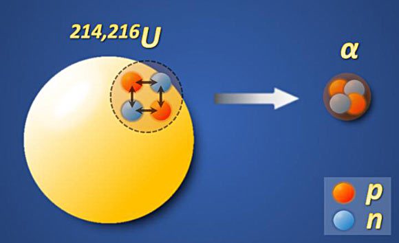Préformation améliorée des particules α dans 214U et 216U. Crédit image : Zhang et al, doi : 10.1103/PhysRevLett.126.152502.