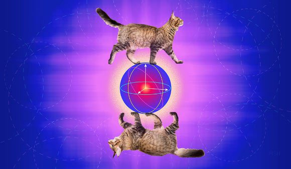 Des chats de Schrödinger corrigeant les erreurs. Crédit image : Michael S. Helfenbein.