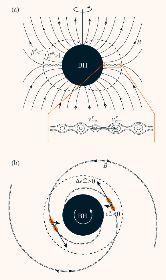 Illustration schématique du mécanisme d'extraction d'énergie d'un trou noir en rotation par reconnexion magnétique dans l'ergosphère du trou noir. Une configuration avec des lignes de champ magnétique antiparallèles adjacentes au plan équatorial est favorisée par l'effet d'entraînement du trou noir en rotation rapide (panneaux (a) et (b) représentant des vues méridionales et équatoriales, respectivement), et la feuille de courant équatoriale résultante est sujette à une reconnexion magnétique rapide médiée par les plasmoïdes (voir les structures circulaires dans la région agrandie). La reconnexion magnétique dans le plasma qui tourne dans le plan équatorial extrait l'énergie du trou noir si le plasma décéléré qui est avalé par le trou noir a une énergie négative vue de l'infini, tandis que le plasma accéléré avec une composante dans la même direction que la rotation du trou noir s'échappe vers l'infini. La limite extérieure (limite statique) de l'ergosphère est indiquée par les lignes en pointillés courts dans les deux panneaux. Dans le panneau (b), les lignes en pointillés longs et les lignes pleines indiquent les lignes de champ magnétique au-dessous et au-dessus du plan équatorial, respectivement. Enfin, les lignes pointillées dans la région zoomée indiquent les deux séparatrices de reconnexion magnétique qui se croisent au point X de reconnexion magnétique dominant. Crédit image : Comisso & ; Asenjo, doi : 10.1103/PhysRevD.103.023014.