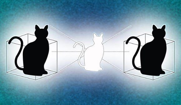 Chen Wang et ses co-auteurs ont donné au chat de Schrödinger une deuxième boîte pour jouer. Crédit image : Michael S. Helfenbein / Université de Yale.