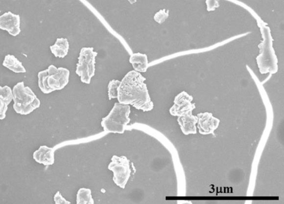 Nucléation de microdiamant à partir de filaments de nanodiamant qui ont été trempés après leur formation à 6 740 degrés Fahrenheit. Crédit image : Jagdish Narayan / Anagh Bhaumik.