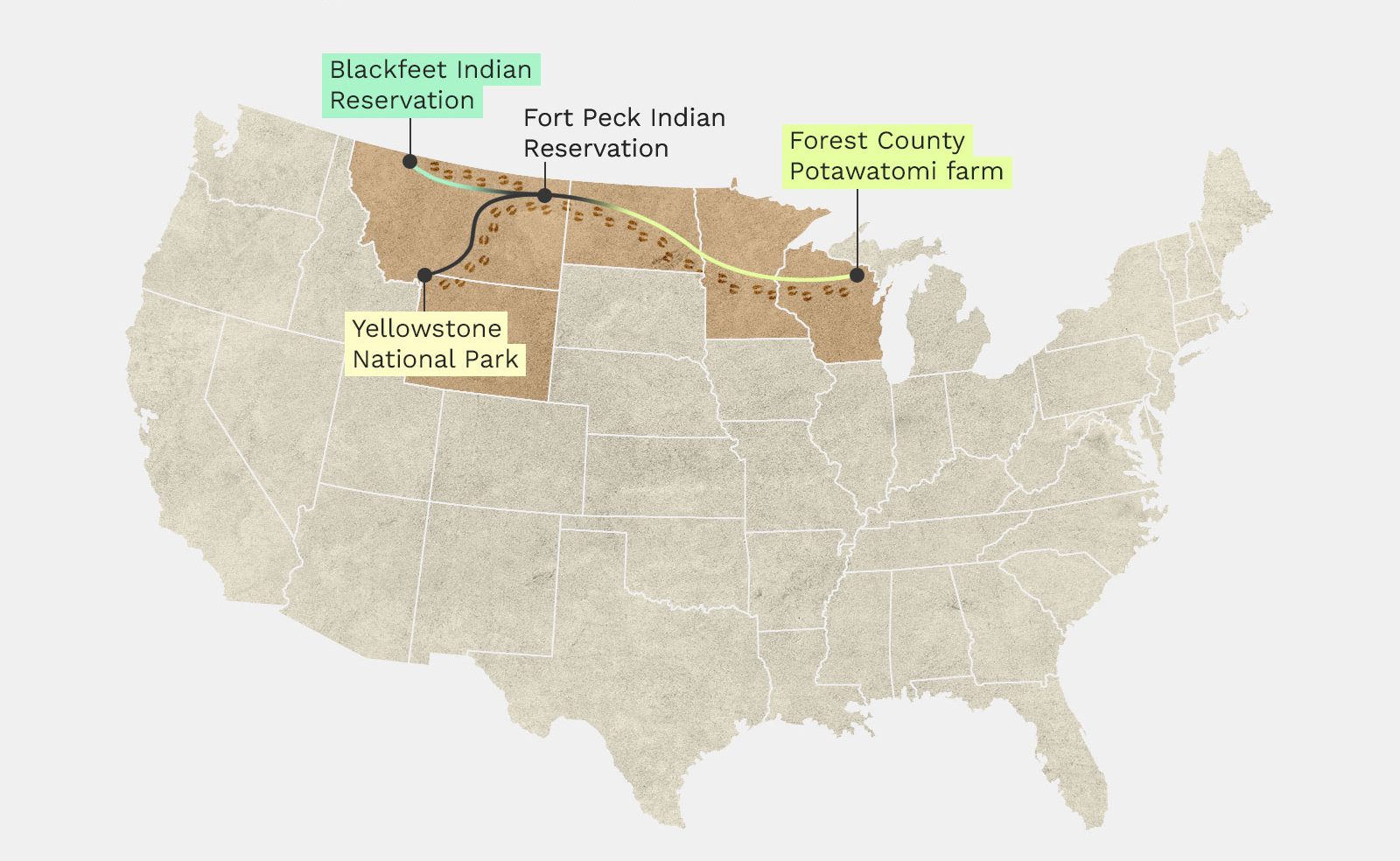 Carte montrant la route de migration des bisons
