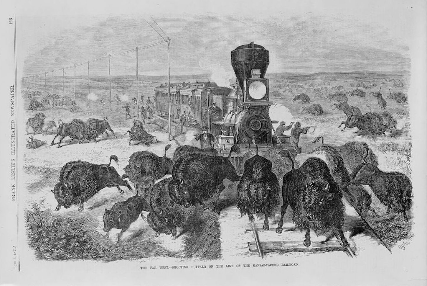 illustration d'un bison fuyant un train