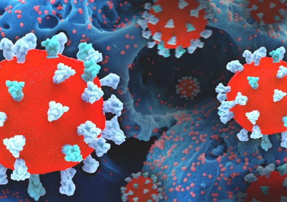 Représentation créative du SRAS-CoV-2, montrant des impressions 3D de particules virales (colorées en rouge et sarcelle/bleu ; la surface rouge du virus est recouverte de protéines de pointe sarcelle/bleu qui permettent au virus de pénétrer et d'infecter les cellules humaines), et une image de fond qui est une micrographie électronique à balayage colorisée d'une cellule (bleue) infectée par la souche Omicron du virus (rouge). Crédit image : NIAID.