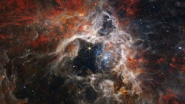 Région de formation d'étoiles de la nébuleuse de la Tarentule.