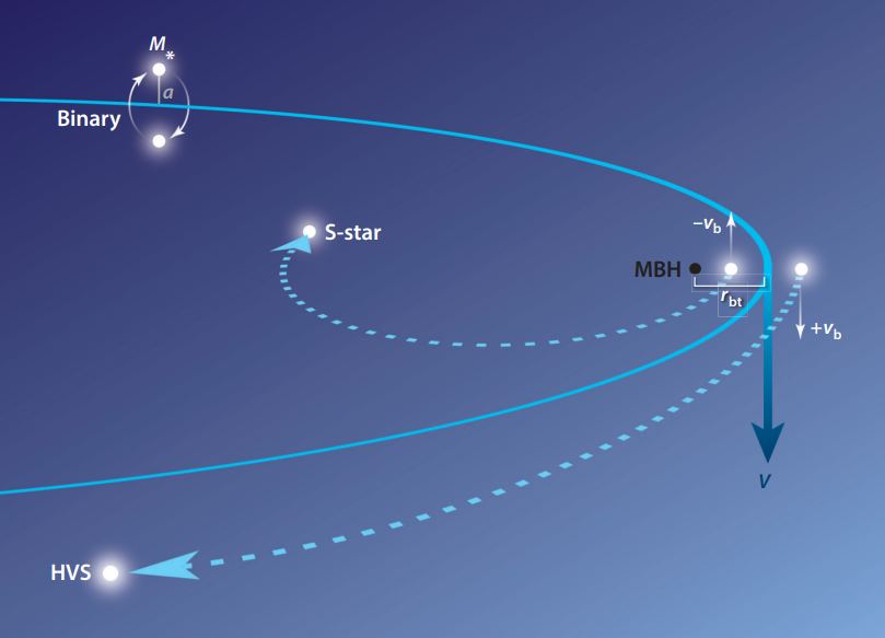 Cette illustration montre comment fonctionne le mécanisme Hills. Une étoile binaire s'approche d'un SMBH, et la puissante gravité sépare la paire binaire. Une étoile est éjectée de la galaxie en tant qu'étoile hyper-vitesse. L'autre occupe une orbite serrée autour du SMBH. Crédit d'image : Warren R. Brown 2015/J. Guillochon.