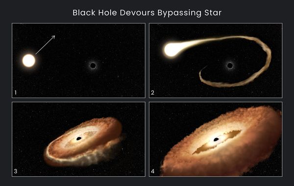 Le trou noir dévore l'étoile de contournement