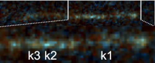 Cette image de l'œuvre montre trois nœuds dans la queue qui sont probablement des étoiles récemment formées. Les chercheurs ont découvert que les trois étoiles se situent dans les plages correctes de métallicité, d'âge et de teneur en poussière pour se conformer à un SMBH voyou qui a quitté sa galaxie il y a environ 39 millions d'années. Crédit d'image : van Dokkum et al. 2023 