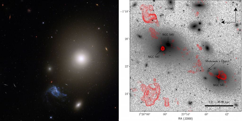 Cette image montre deux vues de l'objet de Minkowski. Sur la gauche se trouve une image Hubble montrant MO en bleu. La galaxie elliptique NGC 541 est au-dessus et à droite. Un jet provenant du trou noir de NGC 541 alimente la formation d'étoiles dans l'objet de Minkowski. Crédit d'image : (L) NASA, ESA et S. Croft (Eureka Scientific Inc.) ; Traitement d'image : Gladys Kober (NASA Goddard/Catholic University of America). (R) Sloan Digital Sky Survey/HRM Zovaro et al. 