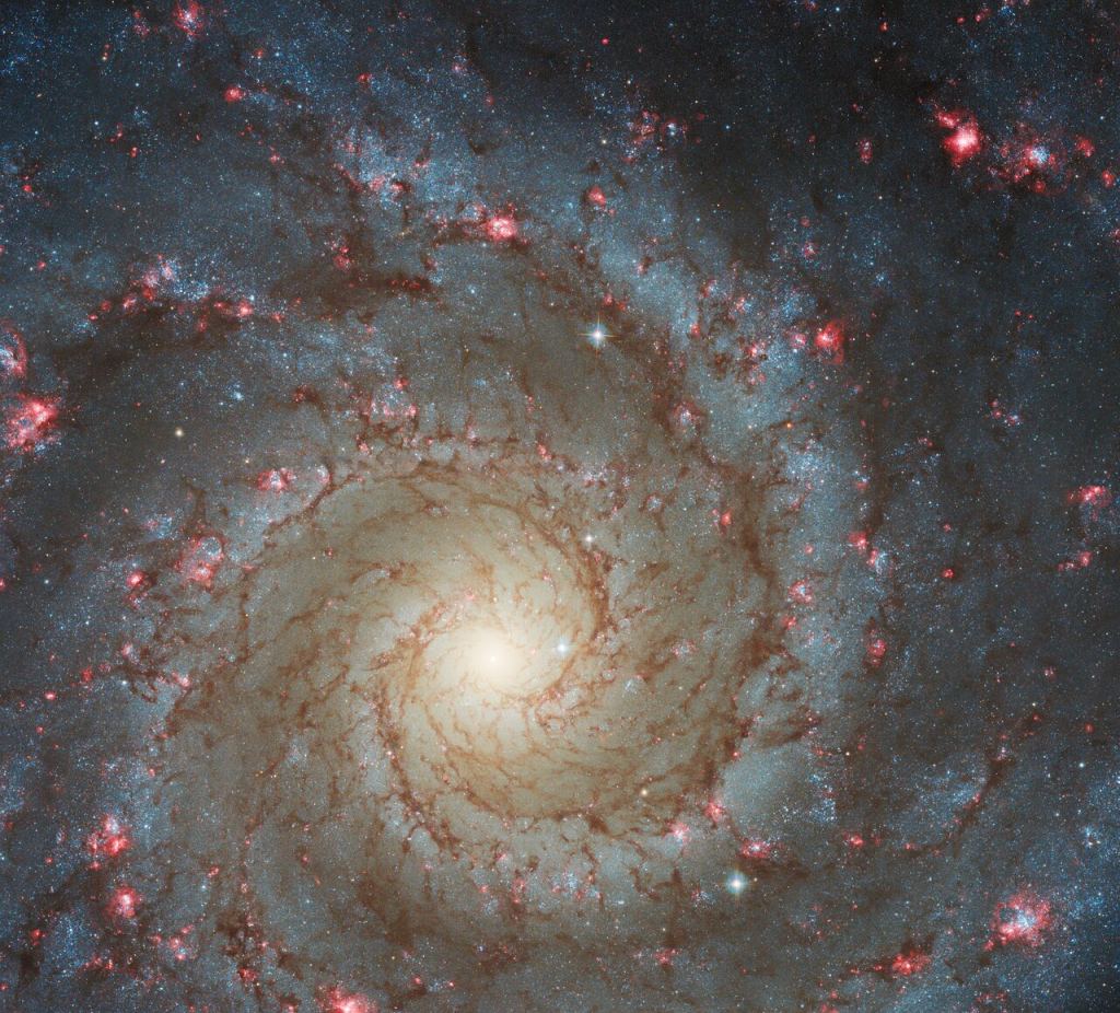 Les bras de la galaxie spirale M74 sont parsemés de régions roses de formation d'étoiles fraîches sur cette image du télescope spatial Hubble de la NASA/ESA. Le Hubble est un télescope impressionnant qui a repoussé les frontières de la connaissance humaine et inspiré d'innombrables esprits curieux. Le JWST est tout simplement meilleur, mais la vraie puissance vient lorsque plusieurs télescopes avec des forces différentes combinent leurs observations, comme dans le programme PHANGS. Crédit d'image : NASA/ESA/Hubble 