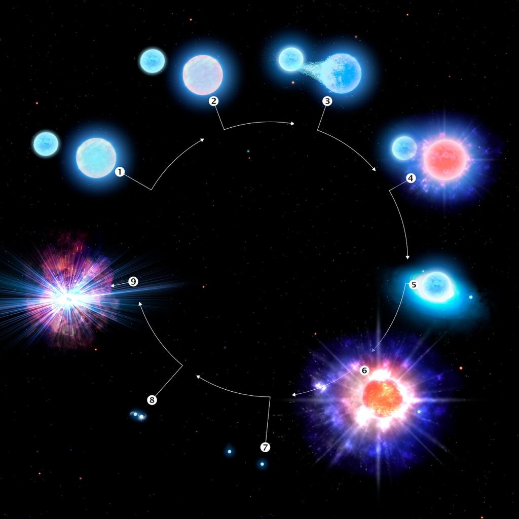 Cette infographie illustre l'évolution du système stellaire CPD-29 2176, le premier progéniteur kilonova confirmé. Au stade 1, deux étoiles bleues massives se forment dans un système d'étoiles binaires. Stade 2, la plus grande des deux étoiles approche de la fin de sa vie. Au stade 3, la plus petite des deux étoiles siphonne la matière de son compagnon plus grand et plus mature, le dépouillant d'une grande partie de son atmosphère extérieure. Au stade 4, l'étoile la plus grande forme une supernova ultra-dépouillée, l'explosion en fin de vie d'une étoile avec moins de 