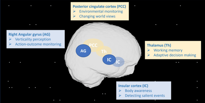 Les régions du cerveau et les fonctions associées qui sont affectées par les vols spatiaux. Crédit : UAntwerpen.