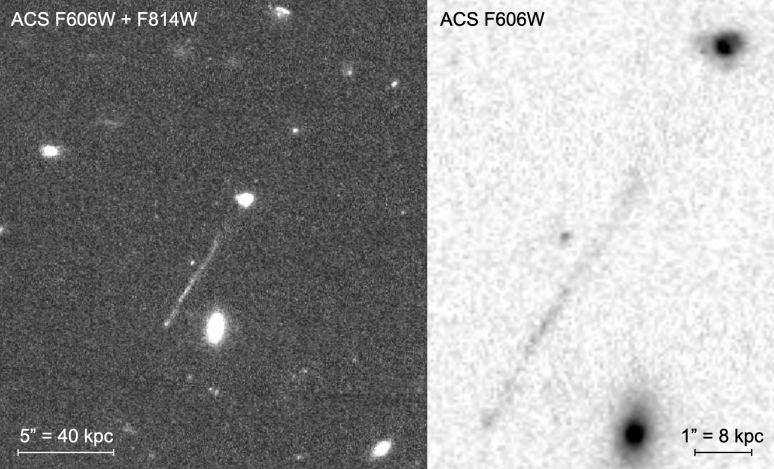 Ces images de la caméra avancée de Hubble pour les enquêtes montrent la caractéristique linéaire qui peut être le résultat d'un SMBH voyou. Crédit d'image : van Dokkum et al. 2023