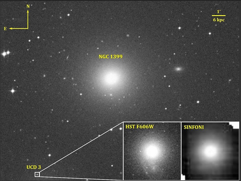 Cette minuscule galaxie naine ultracompacte est un exemple de galaxie naine avec un trou noir. Celui-ci contient environ 3,5 millions de masses solaires. Avec l'aimable autorisation : NASA/STScI/ESO/Afanassiev et al.