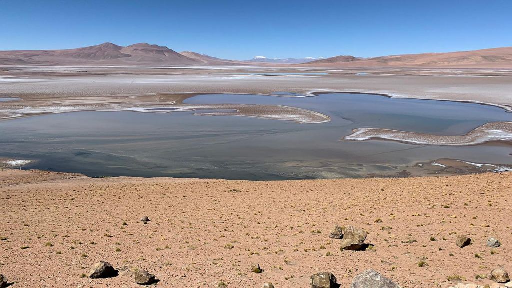 C'est le salar de Quisquiro dans l'Altiplano d'Amérique du Sud. Les salines, ou salars, de l'Altiplano contiennent d'épaisses couches de sel brillant qui ont protégé la glace des glaciers enfouie en dessous. L'Altiplano est souvent considéré comme un analogue de l'ancienne Mars. Crédit d'image : NASA/Maksym Bocharov