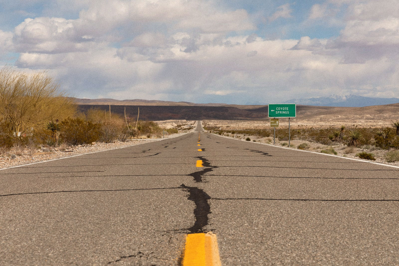 un panneau vert pour coyote springs se trouve à côté le long du tronçon de l'autoroute du désert