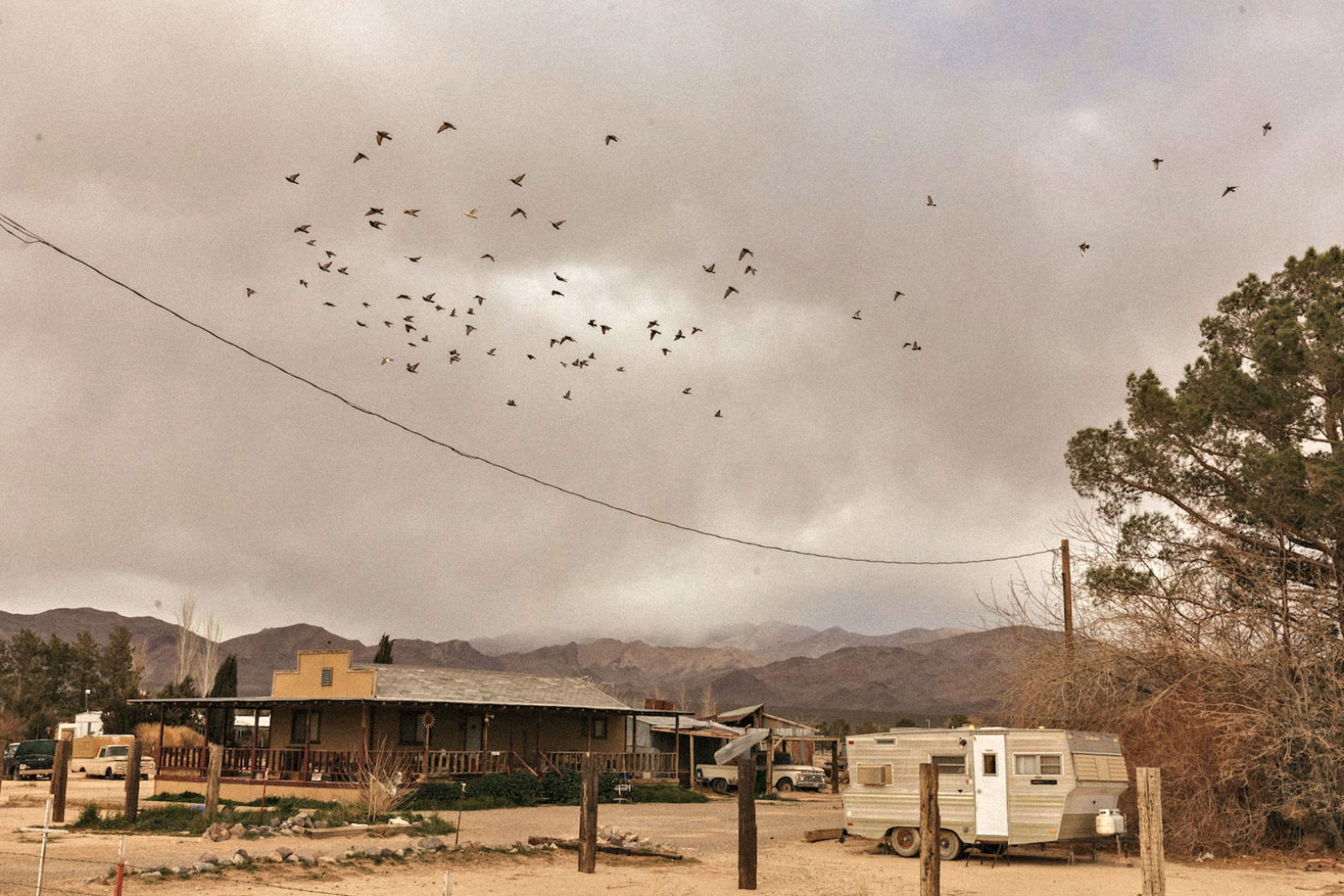 une volée d'oiseaux survole une ligne électrique jusqu'à une maison avec un camping-car à l'extérieur