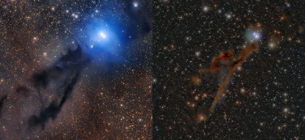 Cette image compare deux vues de la région de formation d'étoiles Lupus 3, à environ 600 années-lumière dans la constellation du Scorpion. Il fait partie d'un plus grand complexe appelé les Nuages ​​de Lupus. Le panneau de gauche est une image de lumière optique et le panneau de droite est une image infrarouge. Crédits image : (G) ESO/R. Colombari. (R) ESO/Meingast et al.