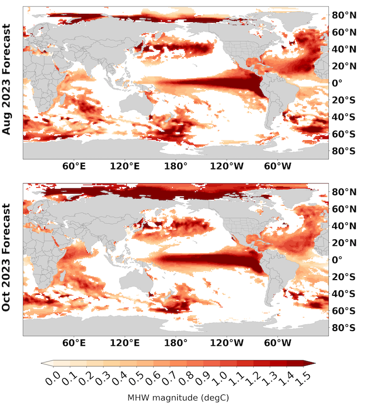 Deux cartes montrent de vastes zones de chaleur supérieure à la moyenne, en particulier le long de l'équateur dans le Pacifique, qui est un indicateur d'El Nino, et dans une grande partie de l'Atlantique.