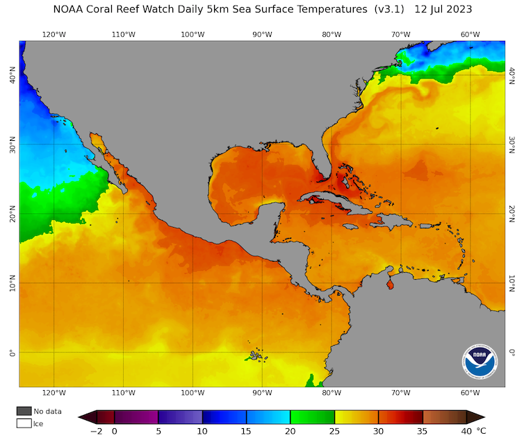 Une carte montre les températures chaudes de l'océan dans une grande partie de l'Atlantique et du Pacifique autour de l'Amérique du Nord.
