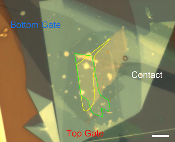 Xiong et al. ont observé un isolant corrélé d'excitons intercouches dans une bicouche constituée de diséléniure de tungstène, qui hébergeait des trous, et de disulfure de tungstène, qui hébergeait des électrons. Crédit image : Xiong et al., doi : 10.1126/science.add5574.
