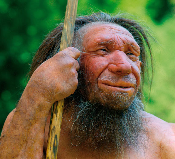 Les facteurs de risque génétiques de la maladie de Dupuytren sont hérités des Néandertaliens. Crédit image : Musée de Néandertal.