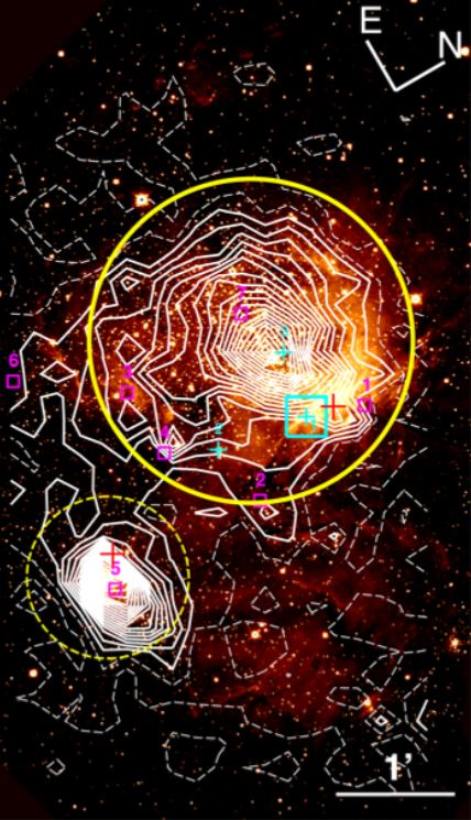 Cette figure de l'étude montre les deux amas dans S209 (cercles jaunes). Les lignes blanches sont comme des lignes de topographie sur une carte, mais au lieu de l'élévation, elles montrent la densité des étoiles. Les carrés magenta sont des noyaux de nuages ​​moléculaires. Crédit d'image : Yasui et al. 2023.